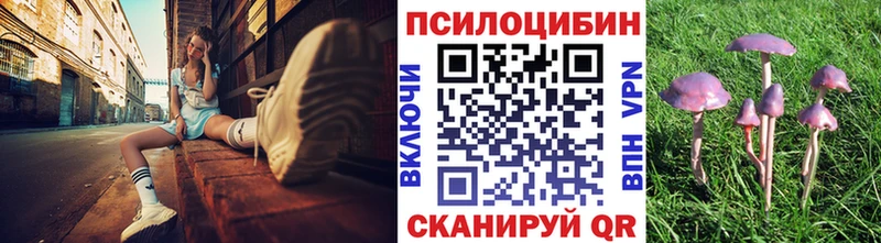 darknet Telegram  Мариинск  Галлюциногенные грибы мицелий 